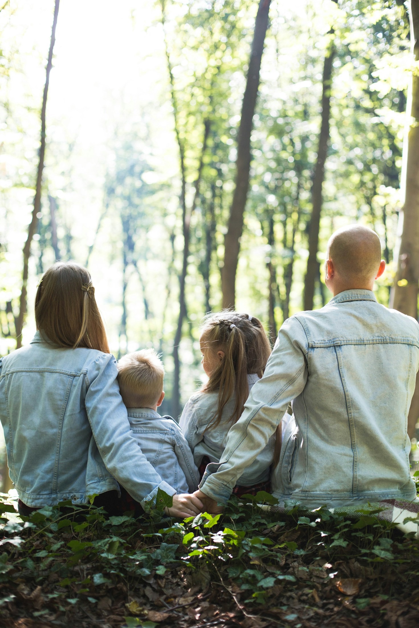 De oorsprong van de Dethmers-Pruijs familie